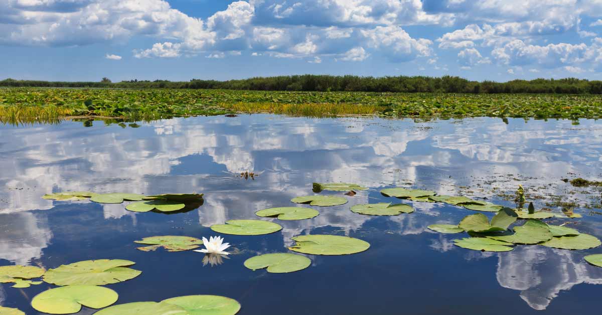 Danube Delta waterways