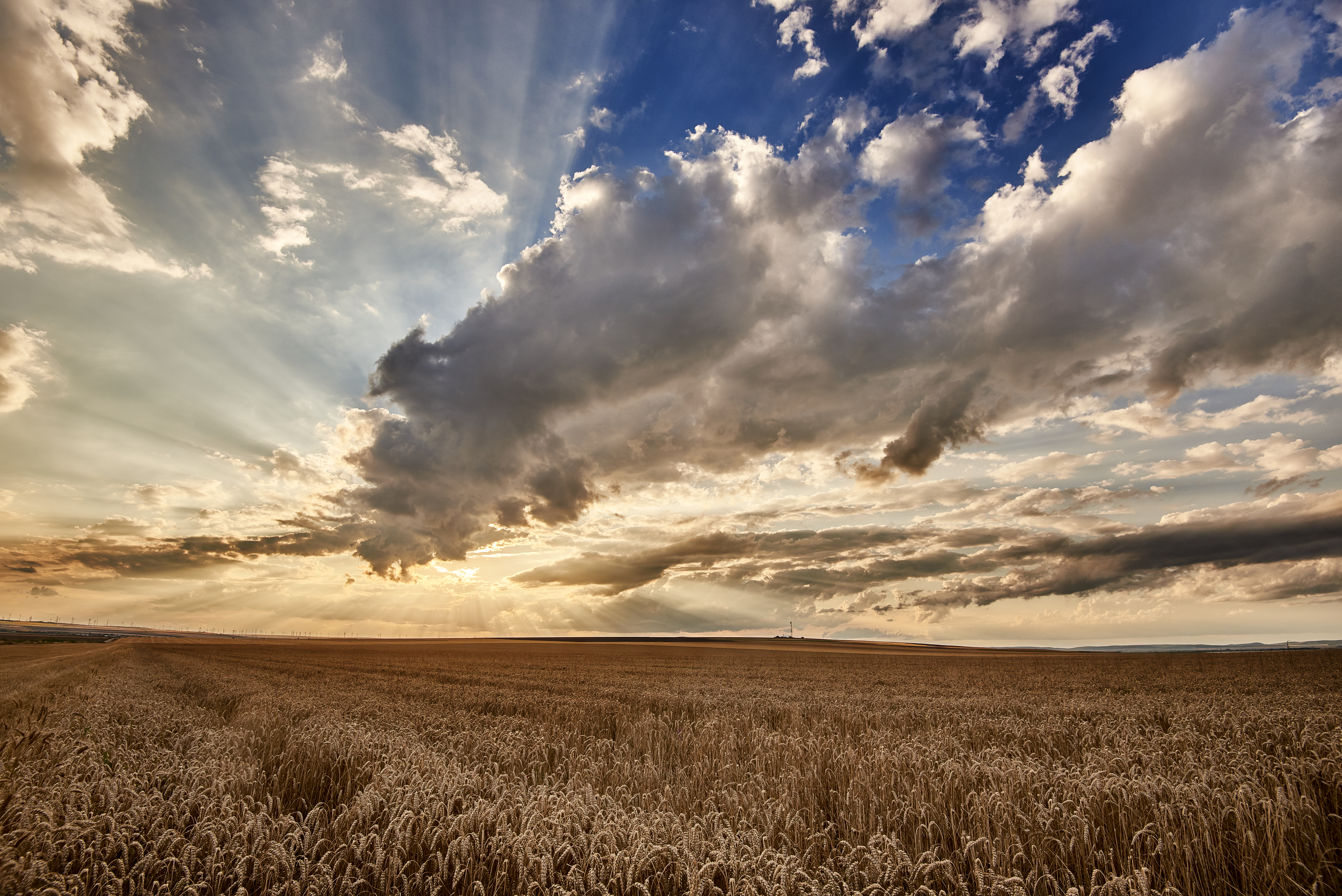 Romanian plains landscape