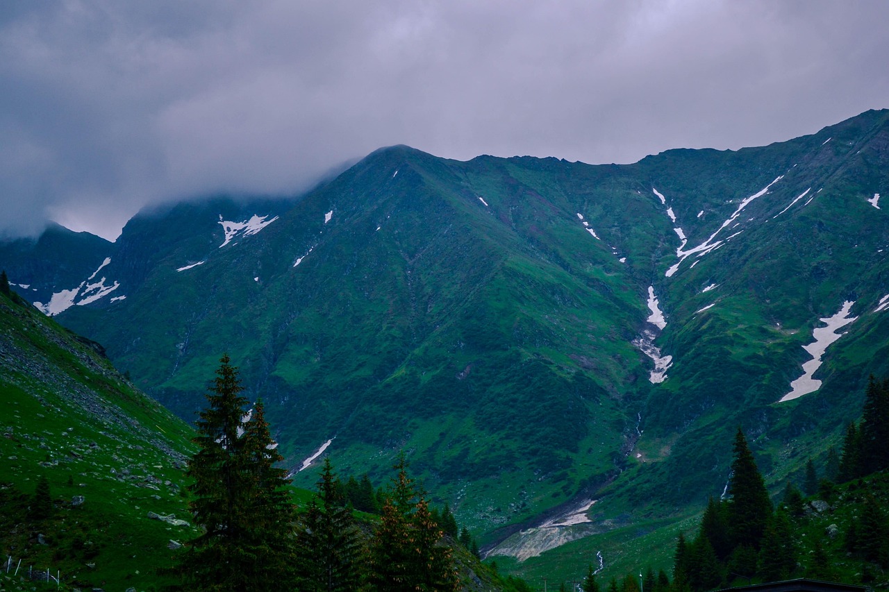 Carpathian mountain landscape