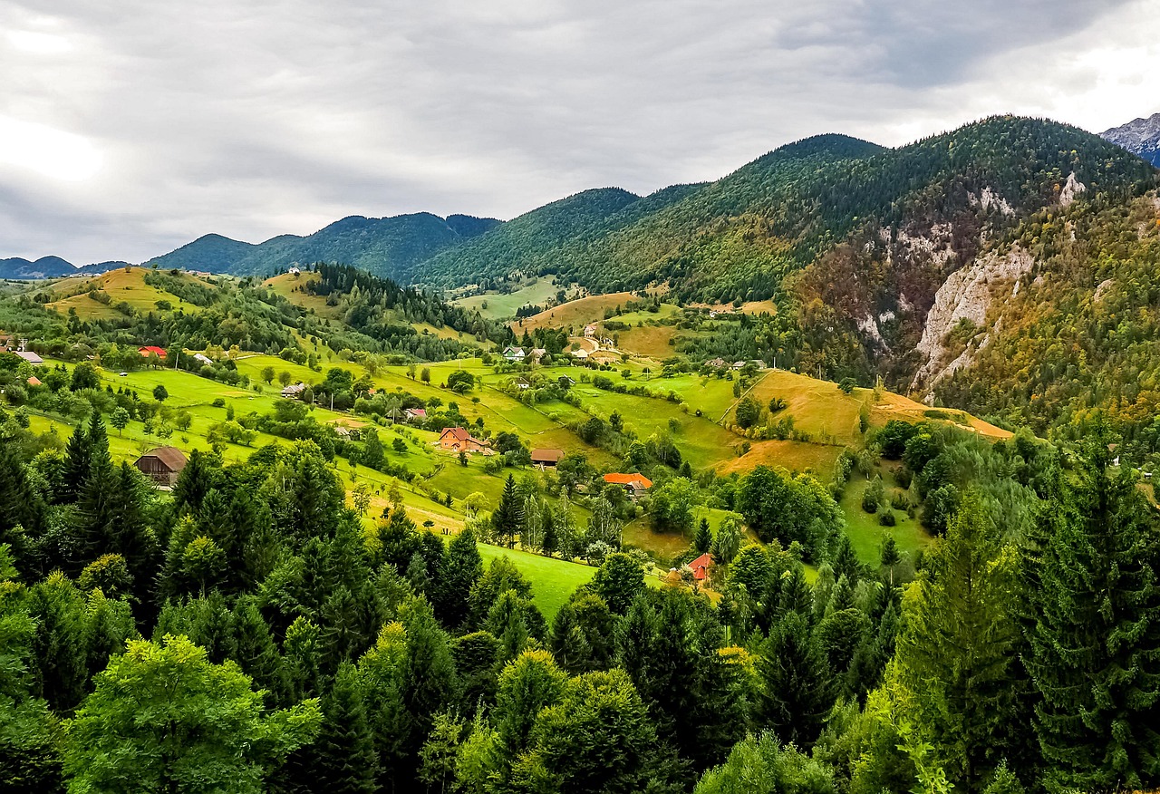 Carpathian Mountains landscape